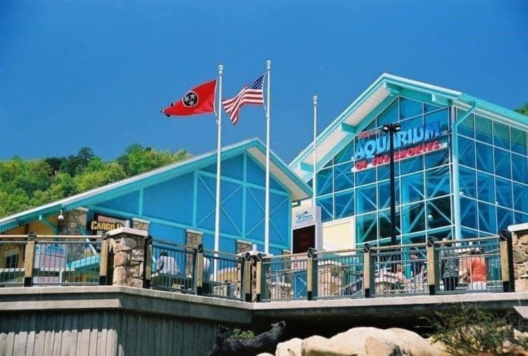 Wild Turkey "The Perfect Getaway" Villa Pigeon Forge Dış mekan fotoğraf