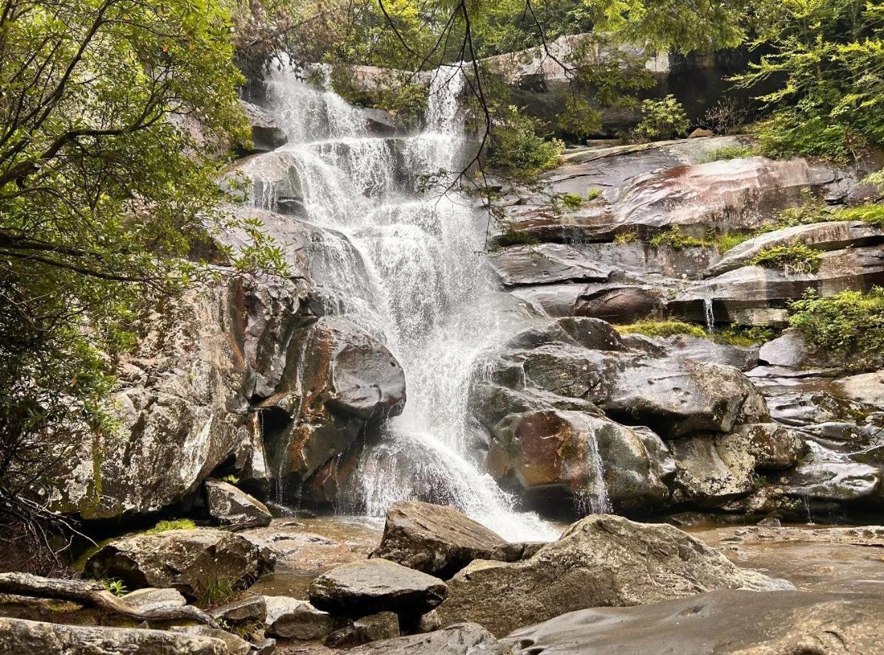 Wild Turkey "The Perfect Getaway" Villa Pigeon Forge Dış mekan fotoğraf