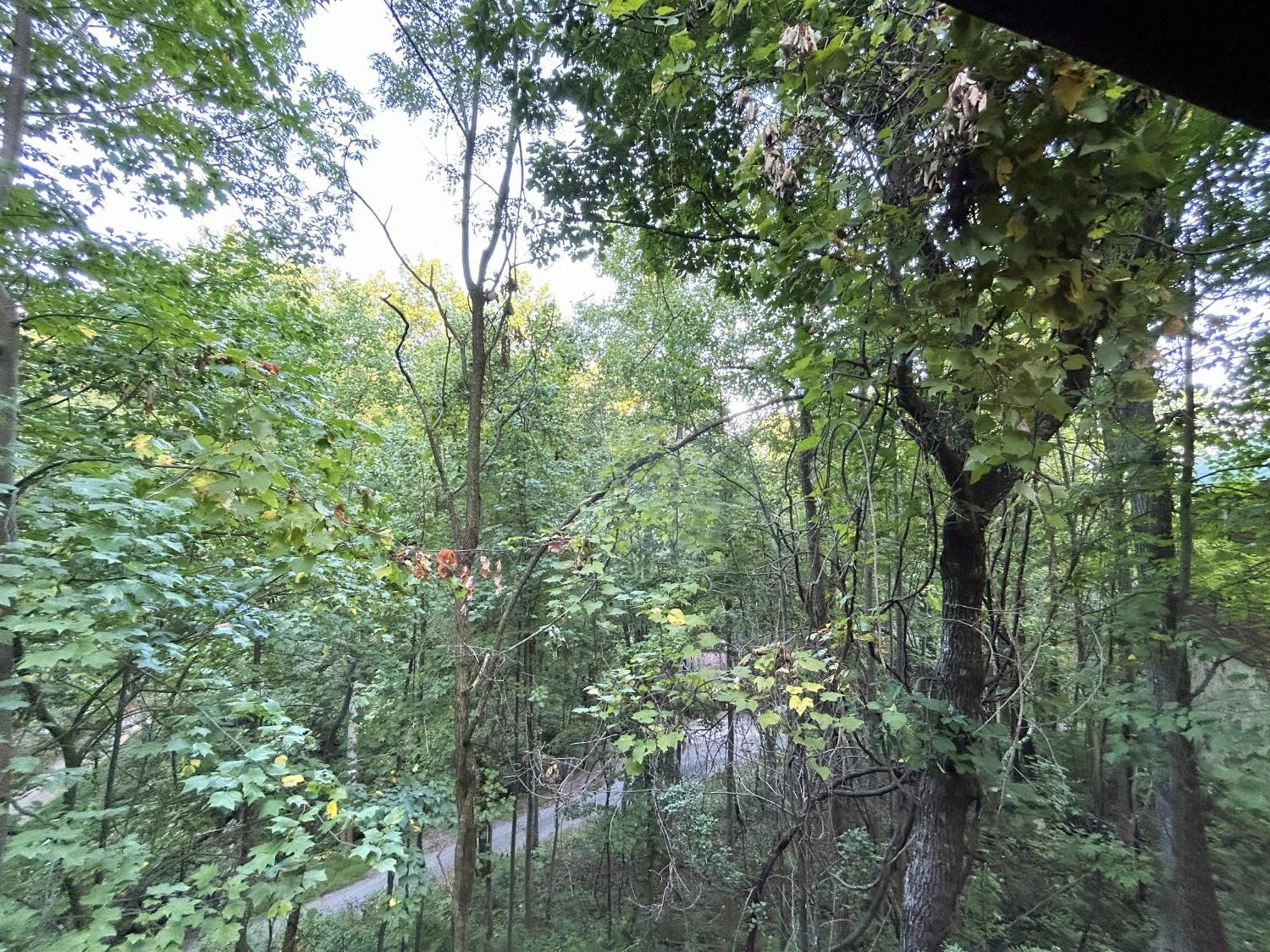 Wild Turkey "The Perfect Getaway" Villa Pigeon Forge Dış mekan fotoğraf